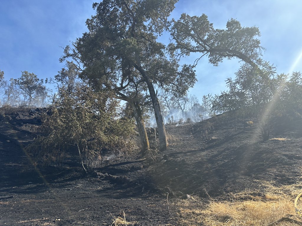 CALFIRELNU's tweet photo. #AdamsFire UPDATE: The fire off Main St. in Lower Lake is approximately 15 acres & 15% contained.
Crews have constructed control lines completely around the fire and are conducting heavy mop-up operations inside its perimeter. Firefighters will be on scene overnight. https://t.co/bFScJX8QAX