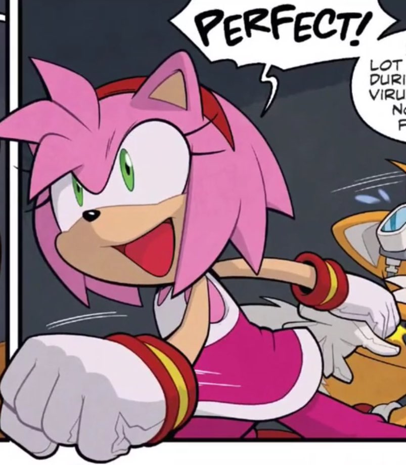 Daily Amy Rose 🌸 (@dailyamys) on Twitter photo 