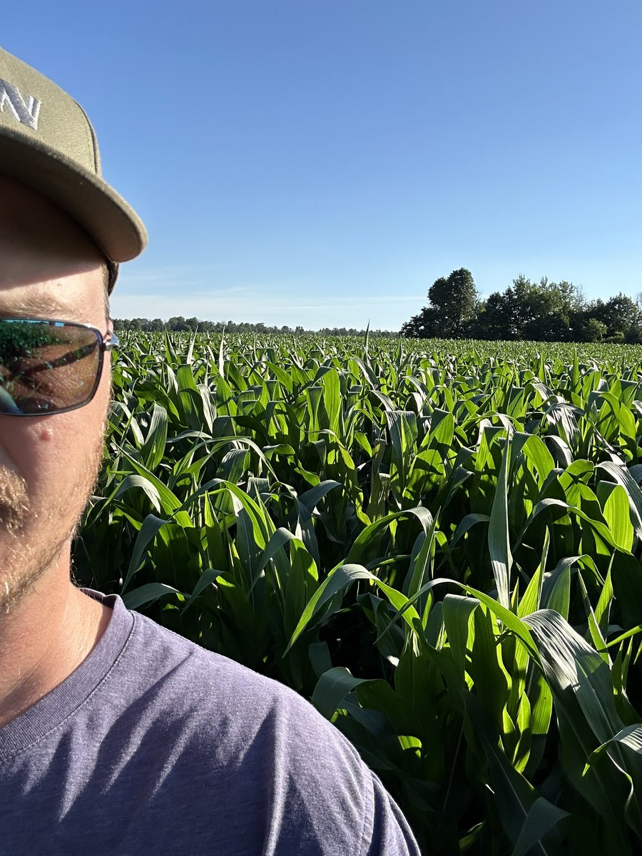 dejongcropcare's tweet photo. @WheatPete I am lucky enough to have some stellar corn this spring. Good stand and lots of fertility in place. What do I add (aside from a fungicide) to hold onto the maximum yield potential foliars? Biologicals? Timely rain 😂Where do we find the products that actually work? https://t.co/nFCApt05mn