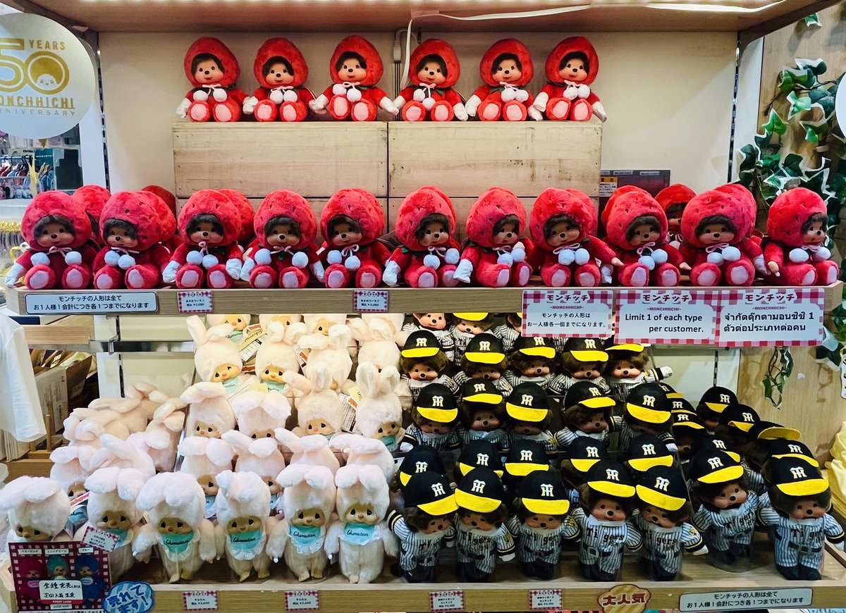 お品切れ情報】 モンチッチ 『チムたん』 がお品切れいたしました