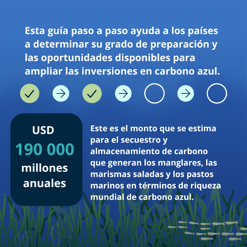 BancoMundial's tweet photo. ¿Qué es el #CarbonoAzul y por qué es importante?

Obtén más información en este informe del @BancoMundial “Impulsar el desarrollo del carbono azul”: