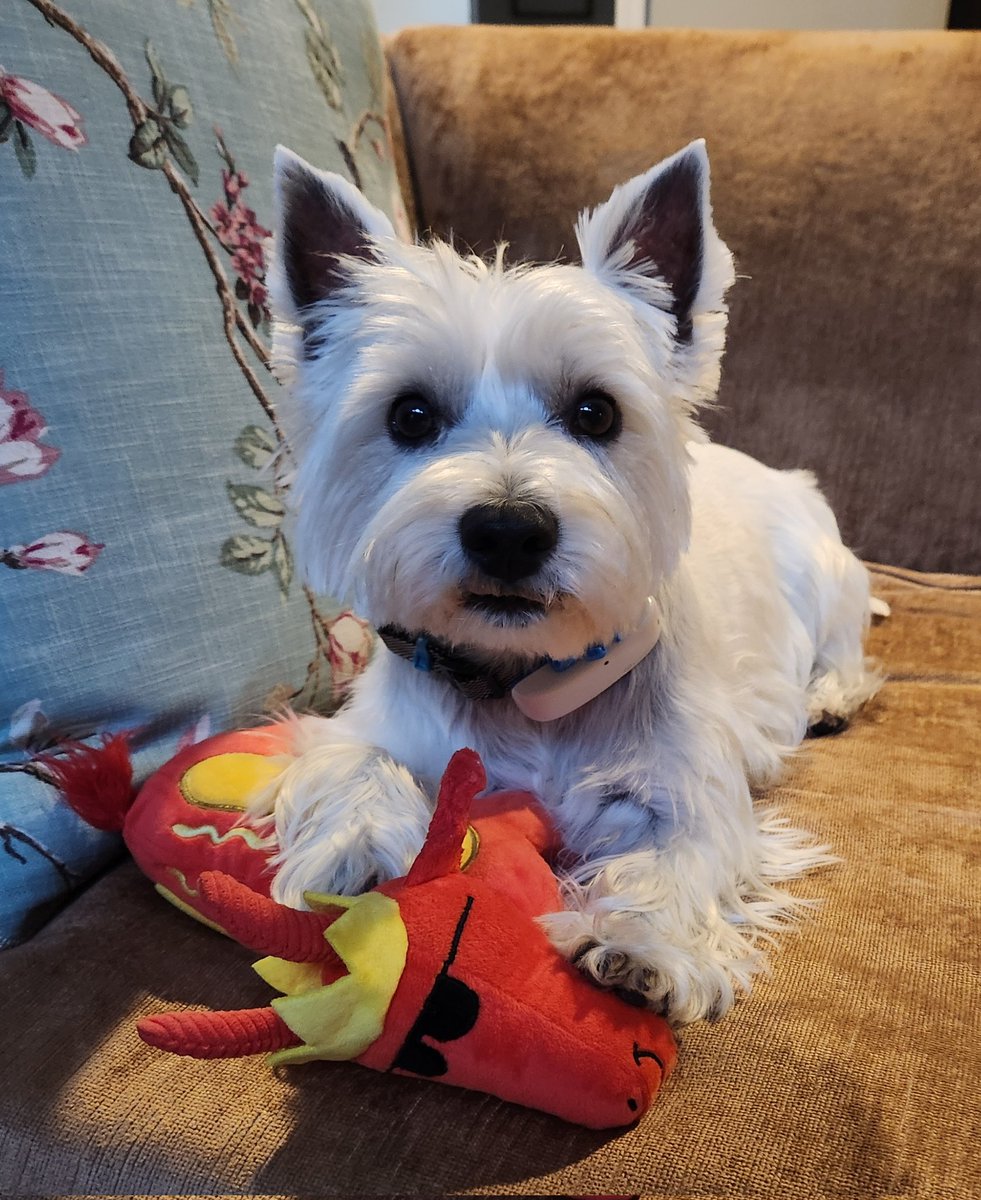 Todd Baginski tweet media