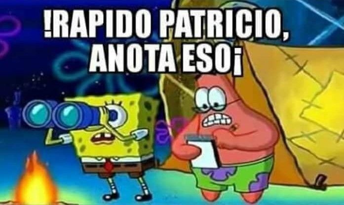 tobisauriorex's tweet photo. @MauriGaricoche9 https://t.co/8q004YrtMA