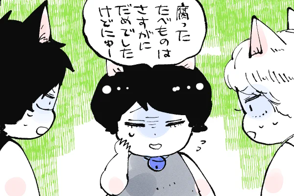 🐱キラキラにゃんこ生活
マコトの経歴🤔 