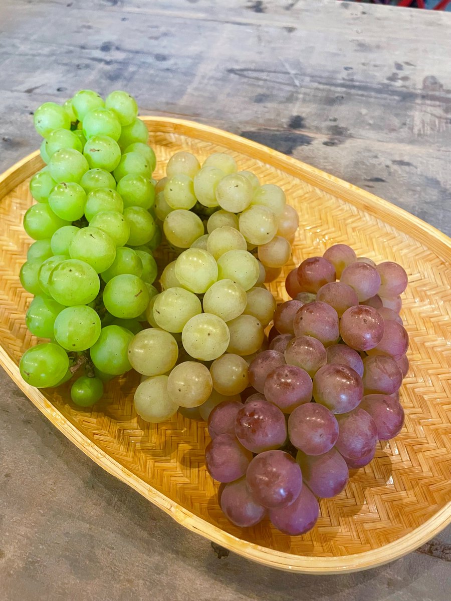🍇あなたも大阪ぶどうのファンに！🍇 ☆環農水研シンポジウム2024