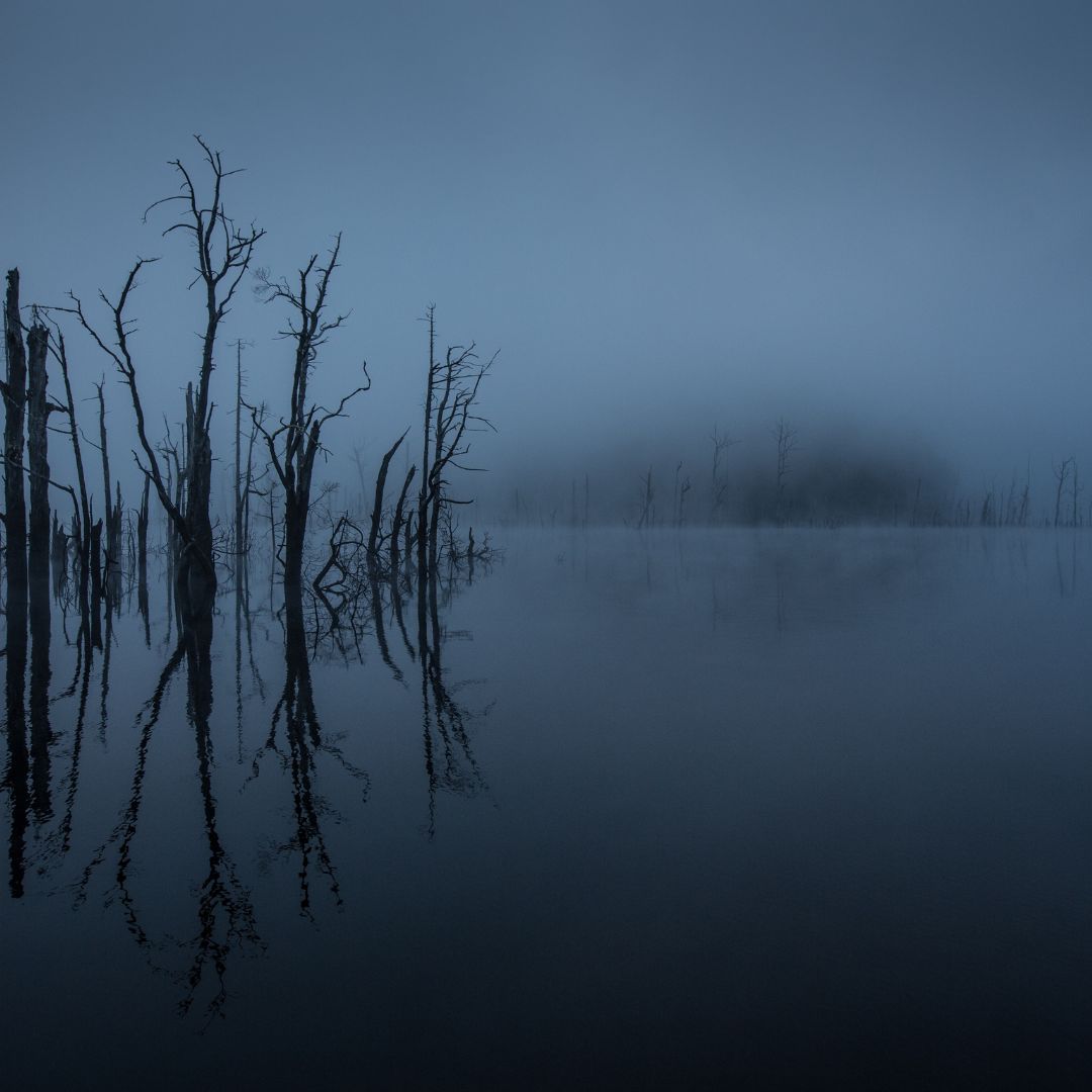 designtasmania tweet media