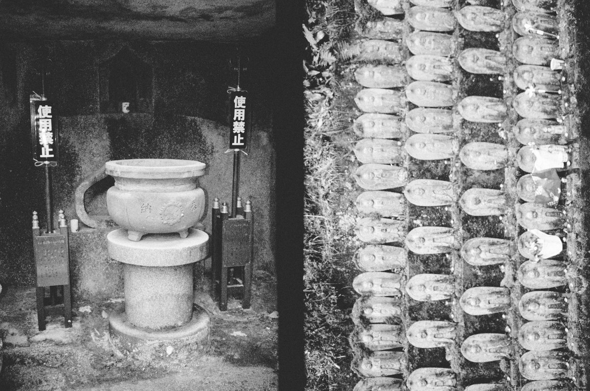 MICHAEL WOOLERY tweet media