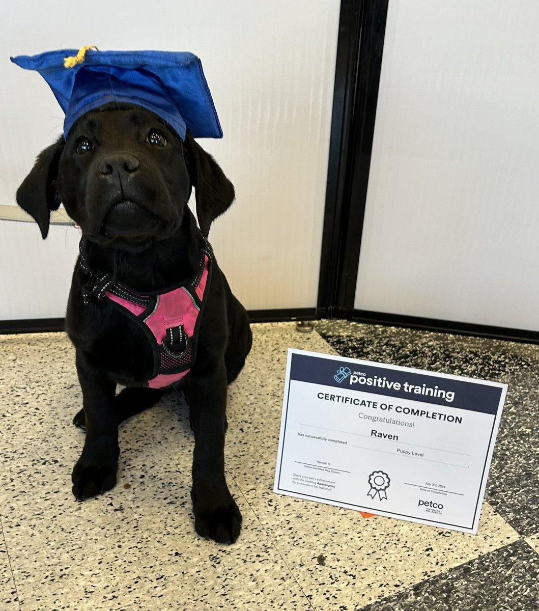 Baby girl graduated!! 🎓🐶