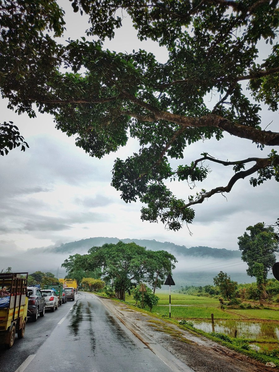 bhargab321's tweet photo. 💚🛣️🌨️

📍 Kaziranga Road, Assam

📸@bhargab_jumon

#raining #green #nature #clouds #assam #northeast #kaziranga #share #ontheroad #roadTrip https://t.co/sRYkWIglzx