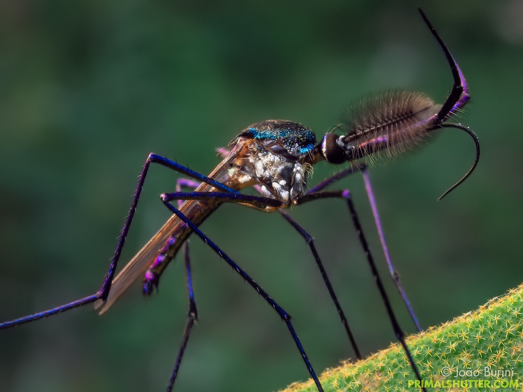 gav 🇵🇸 tweet media