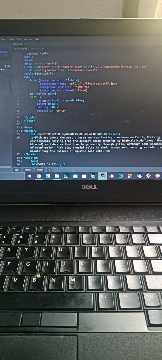 Day 3 of the 31 day challenge wish am learning front end engineering
Really working on CSS in which I have learnt so far on how to link CSS into HTMl and Also how to add background images and padding 
<a href="/youdevhub/">Young Developers Hub 🧑🏻‍💻</a>
#31DOCWYDH
#31dayYDH