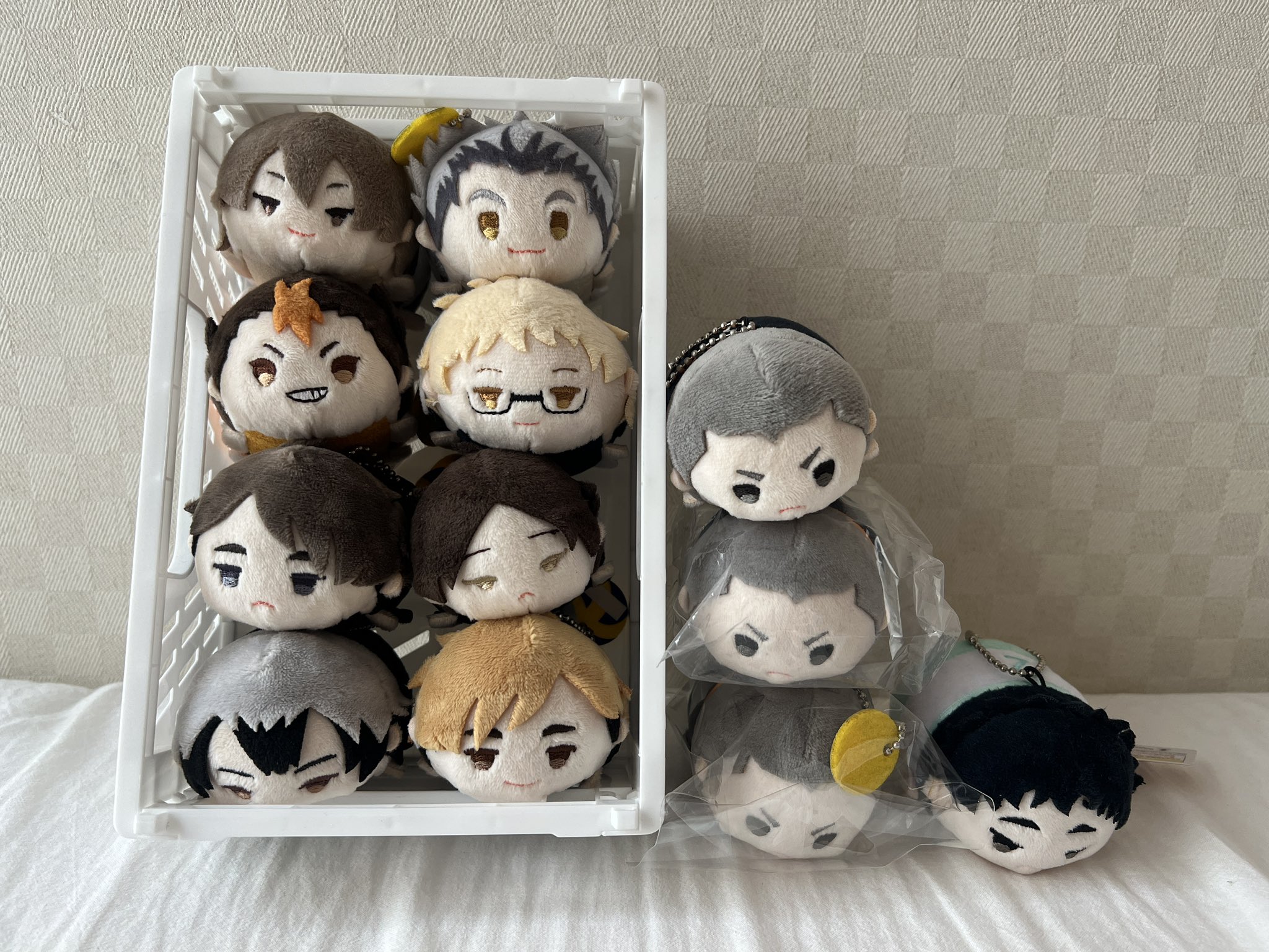 ハイキュー もちもちマスコット もちマス WA もちもちマスコットWA