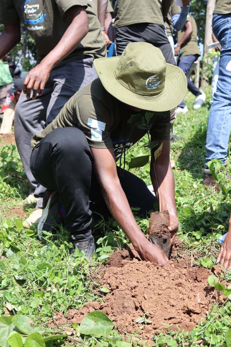 The Climate Ambassador tweet media