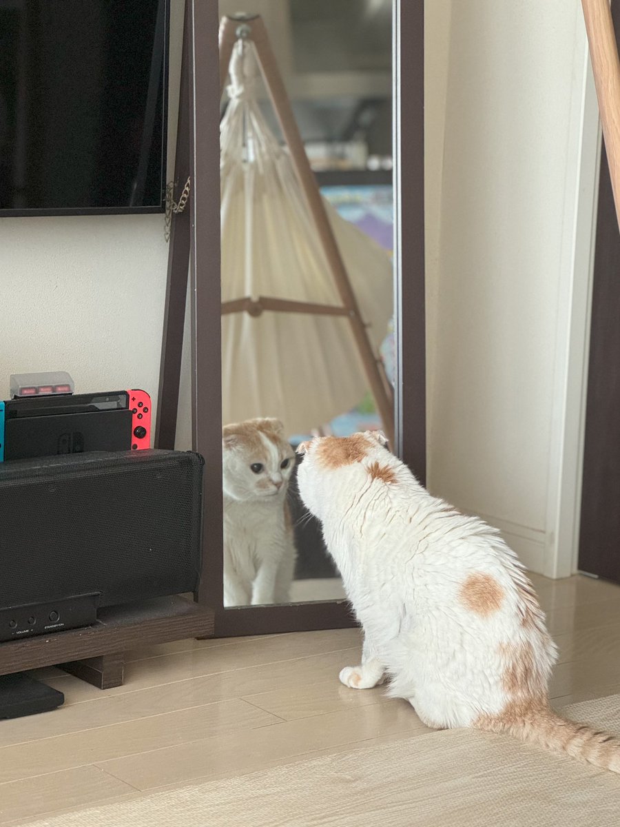 pookke's tweet photo. https://t.co/NtpT8zePqb