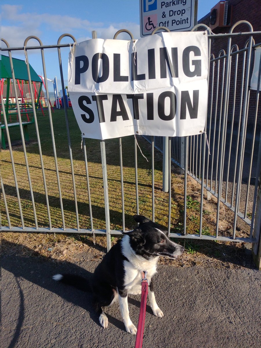 #dogsatpollingstations
Orca was most annoyed with the extra people and this banner appearing on  her walk. However I explained it's a small inconvenience she has to accept to live in a democratic society. Orca agrees and say "go out and vote folks!"