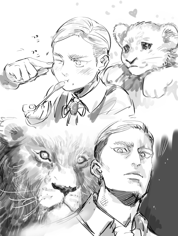 猫飯🐈️🍙 tweet media