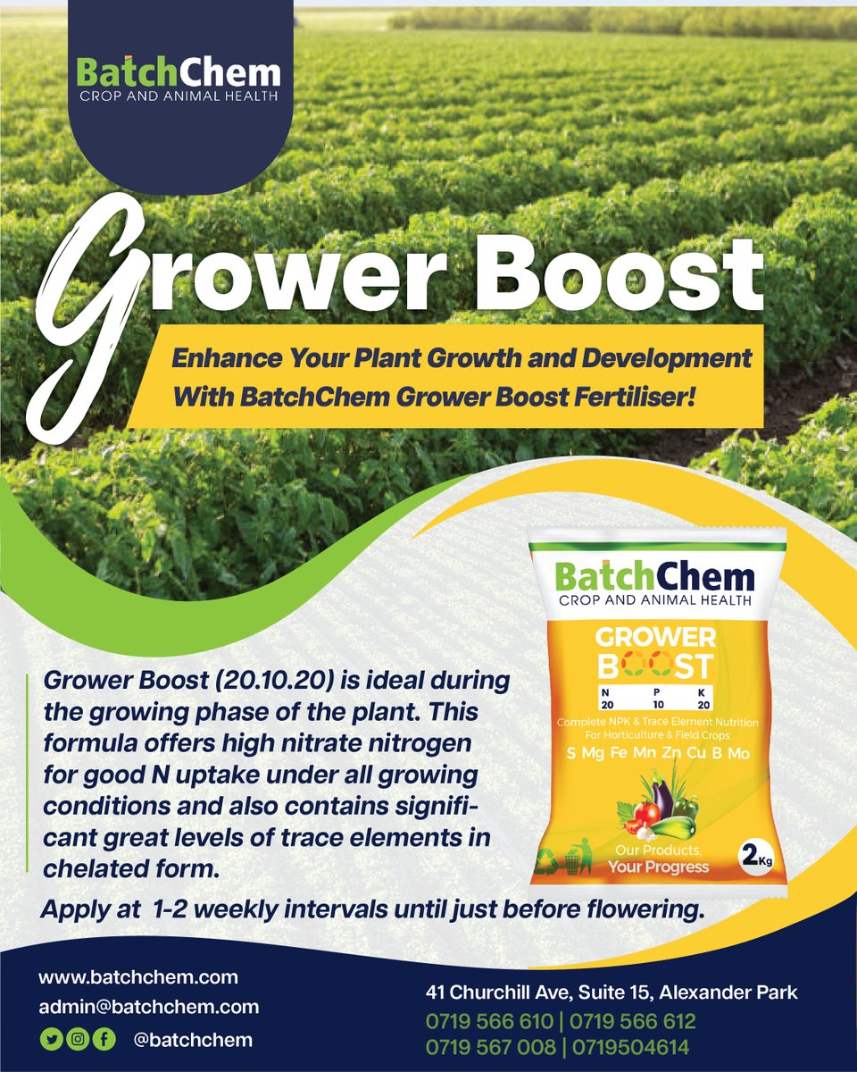 Do you want your plants to be healthy, lush, and fluffy?
With enough Potassium, Phosphorus and Nitrogen as well as other essential elements, BatchChem Grower Boost Fertilizer is just what you need🔥🔥🔥

📍 31 South Avenue/Second Street, cbd, Harare.
📞 wa.me/263719566612