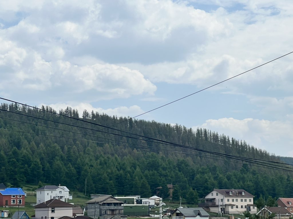 Байгаль орчины яамныхаан ойруугаа хортон шавьжны бэлдмэлээ цацаачээ… Улам л томроод байна штэ хамрах хүрээ нь #Бэлх