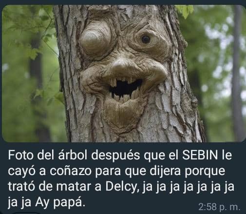 julicefe's tweet photo. Porque ya es hora que se largue del poder coño de su madre maltratando a mi pobre árbol nacional de mamon más bien se tenía que morir perra fea esa aborto de mierda DR https://t.co/CWE7PtYFzE