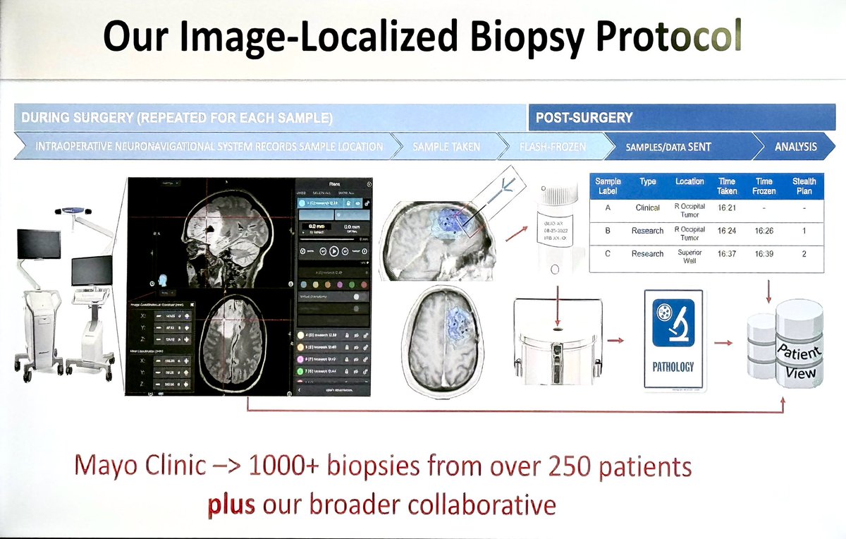 ara_anderson's tweet image. Next up is friend and collaborator @gliomath presenting, Composing each patient’s equation: Unraveling brain tumor complexity by integrating multi-regional image-localized biopsies #SMB2024 #KSMB