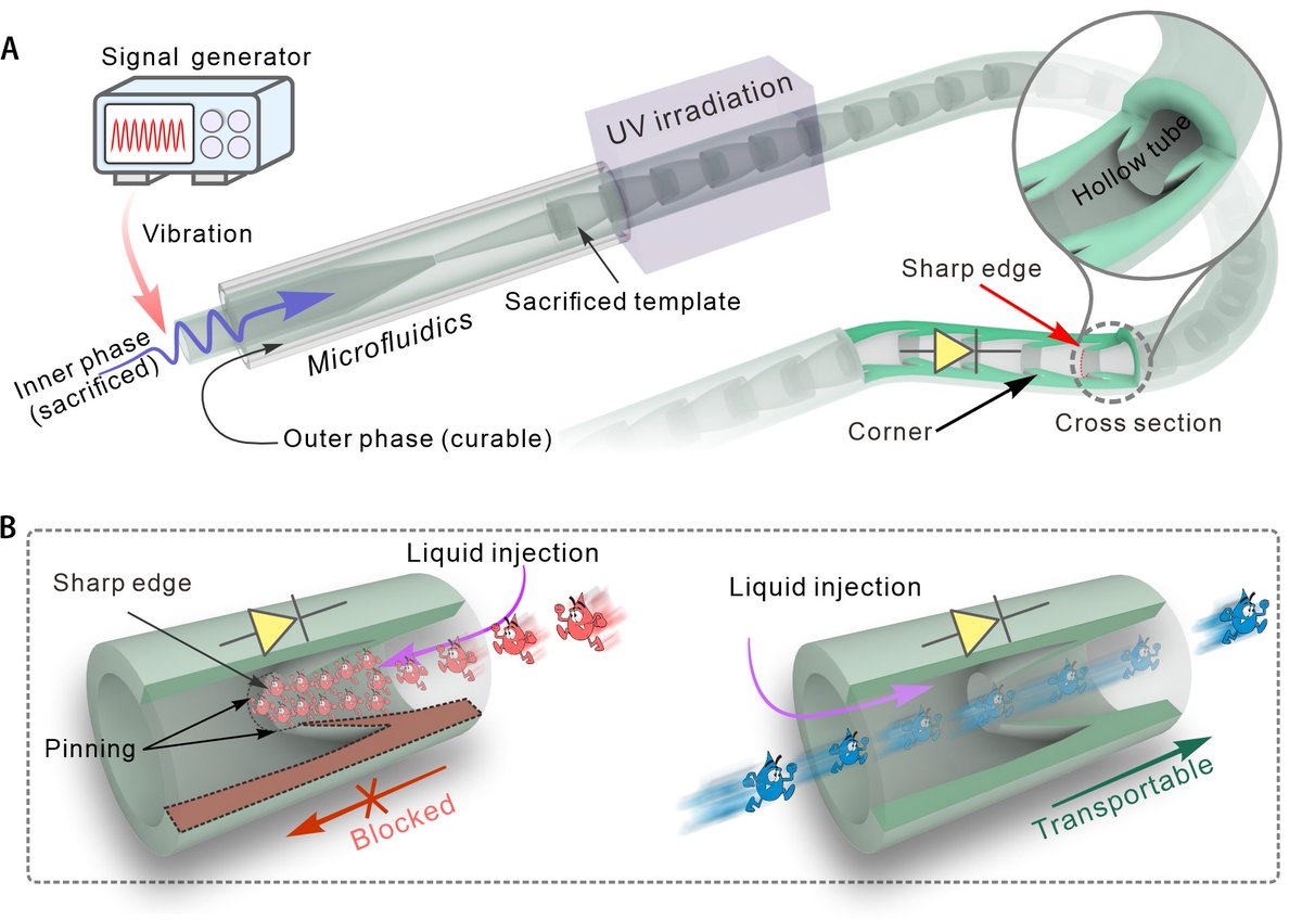 YangCY_CUHK's tweet photo. Excited to share my work on @PNASNews achieving directional liquid transport within closed spaces using simple microfluidic approaches to create long, flexible liquid-diode microtubes with potential in medical tubing! 
https://t.co/wKTRRx3PaQ https://t.co/7RirdjOwNP