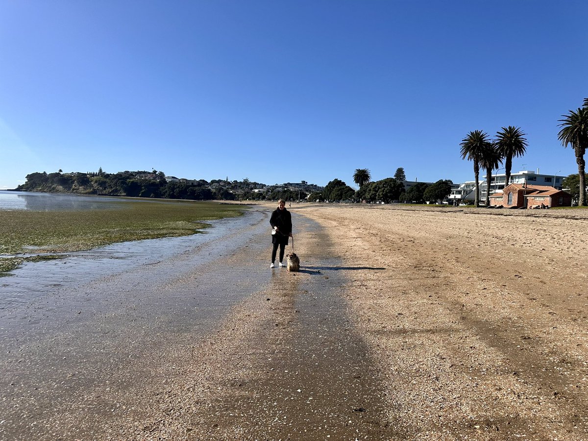 ColleyRachel's tweet image. Cracking day Tāmaki Makaurau #winter