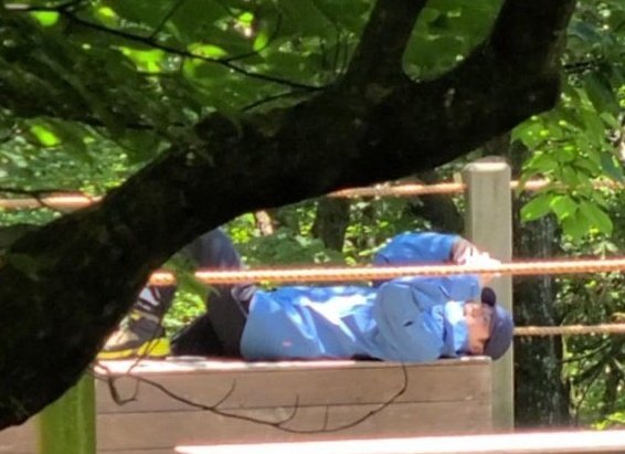 ความสุขเล็กๆของคิมซอกจินอ่ะ ☺️
กำลังอัพเดทโซเชียลหรือเล่นเกมก้ไม่รุ ขอให้พี่มีแต่ความสุขในทุกๆวัน 🫶🏻