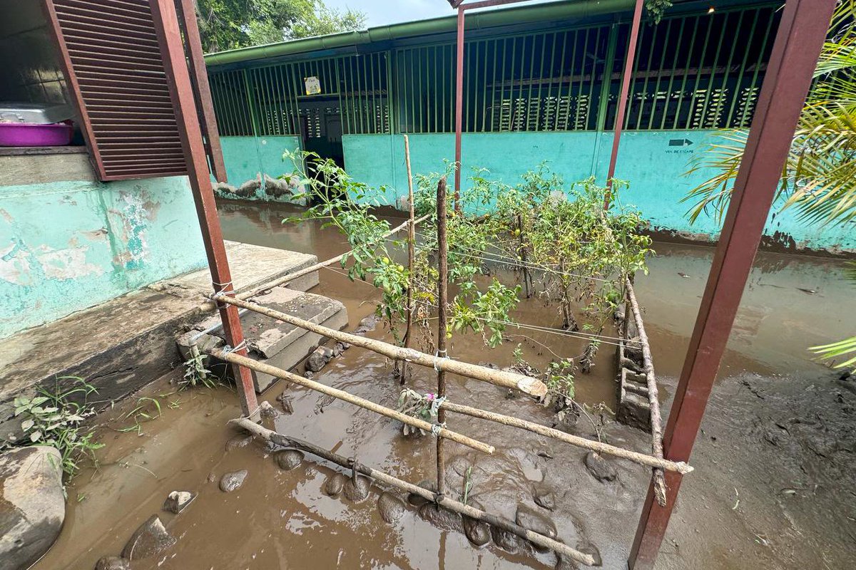 Yelitze Santaella (@_laavanzadora) on Twitter photo ¡Nuestro abrazo a este pueblo querido!
El Gobierno Bolivariano se desplegó en Cumanacoa estado Sucre, para evaluar y atender de inmediato las instituciones educativas afectadas por el desbordamiento del Río Manzanares.
<a href="/NicolasMaduro/">Nicolás Maduro</a>
@MPPEDUCACION ¡Nuestro abrazo a este pueblo querido!
El Gobierno Bolivariano se desplegó en Cumanacoa estado Sucre, para evaluar y atender de inmediato las instituciones educativas afectadas por el desbordamiento del Río Manzanares.
<a href="/NicolasMaduro/">Nicolás Maduro</a>
@MPPEDUCACION