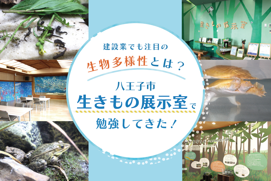 kensetsu_data's tweet photo. 生物多様性について楽しく学べるユニークな施設が東京都八王子市にあると聞き行ってきました。生物多様性への関心は世界的に高まっており建設業界においても注目ワードの1つです

新着ブログ▼建設業でも注目の生物多様性とは？ 八王子市「生きもの展示室」で勉強してきた！
https://t.co/mi0LIhh9Cf https://t.co/1ZEawiHu5R