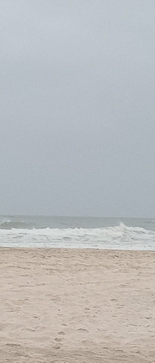 محافظة ظفار تمتع بعدة بيئات من سهلها وجبالها وصحاريها وشؤاطيها فهي تلتقي فيها عدة بيئات وللكل بيئه تمتاز بثقافتها ولكن يجمعها الترابط النسب والتأخي والتسامح والعُرف والعادات النبيلة الطيبه فأشتهرت منذ القدم بحضارات معروفه قدمآ توالت عليها وكانت مسمايتها سابقآ المنصوره