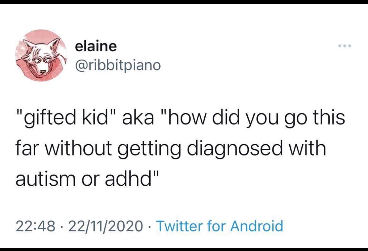 ADHDForReal's tweet image. 