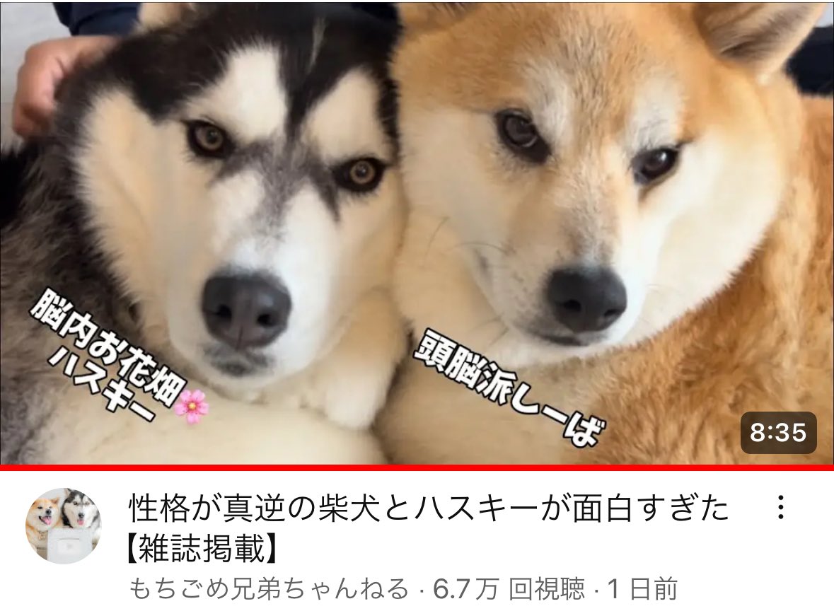 先日の撮影オフショット動画が公開されました！是非ご覧ください