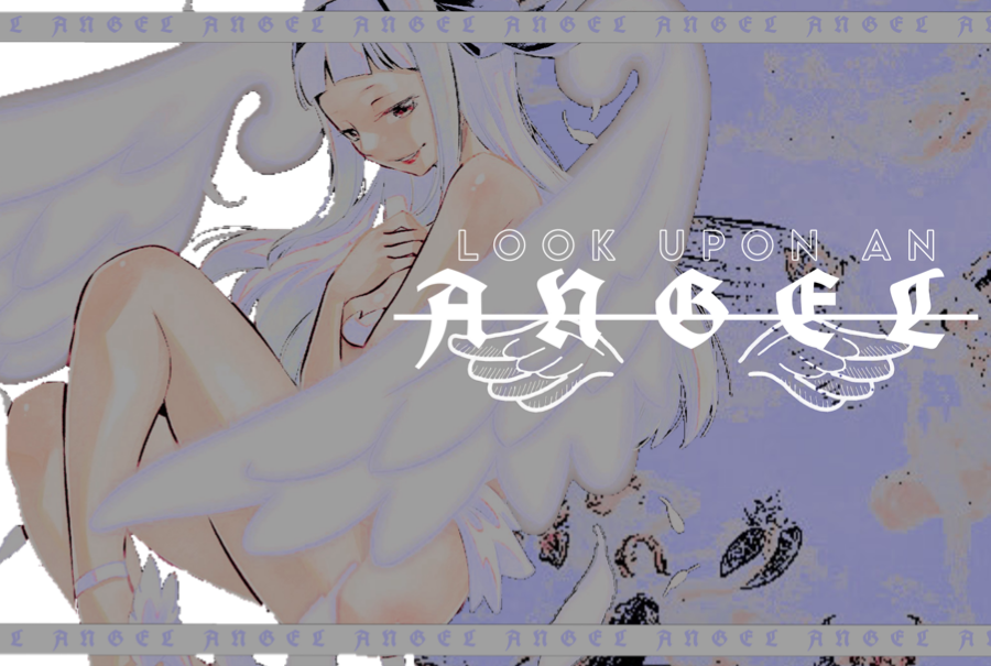 ️️ ️️️️️️️️️ ️️ ‧₊˚ ⊹ ᚐ 🪽 ❜ tweet media