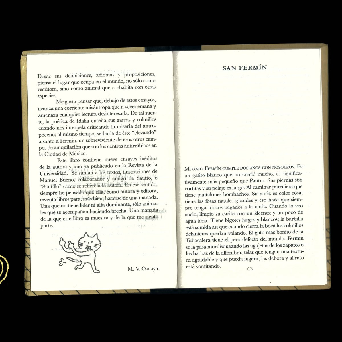 🐈‍⬛  
Tenemos de vuelta ejemplares del libro «Los gatos no saben que envejecen» publicado por @pitzileinbook,  una colección de textos cortos 
sobre distintos gatos con los que la autora ha cruzado caminos. 

El libro fue impreso en risografía  y cada ejemplar fue cosido a mano