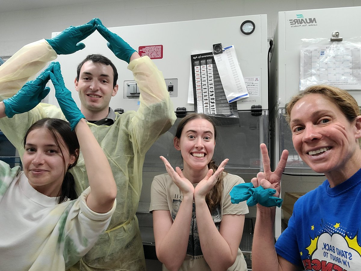 Stern Lab tweet media