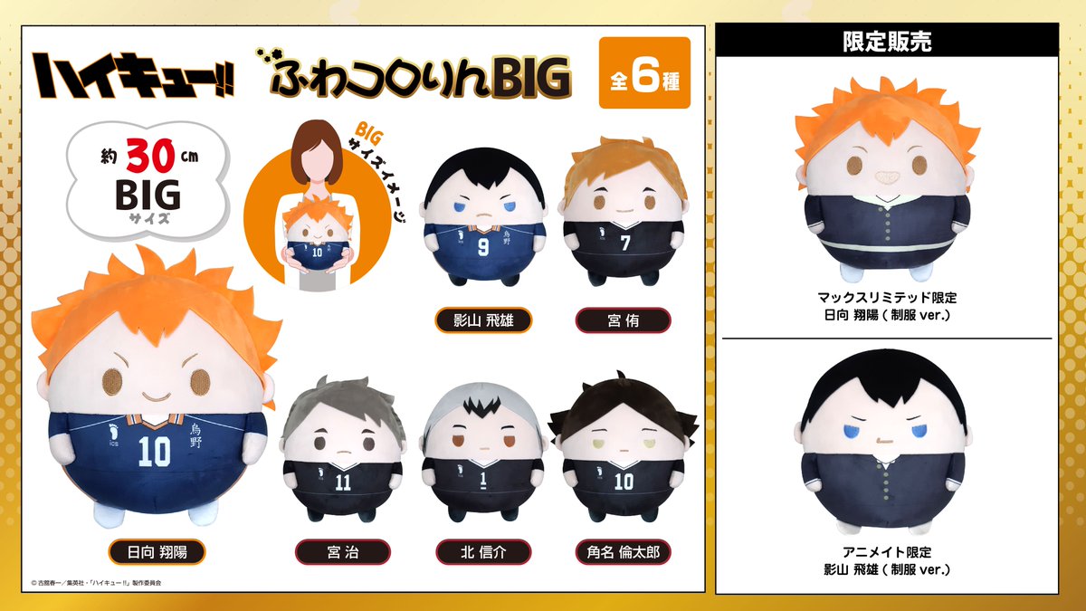 2024年10月発売予定【再販】 ハイキュー!! ふわコロりんBIG 限定販売