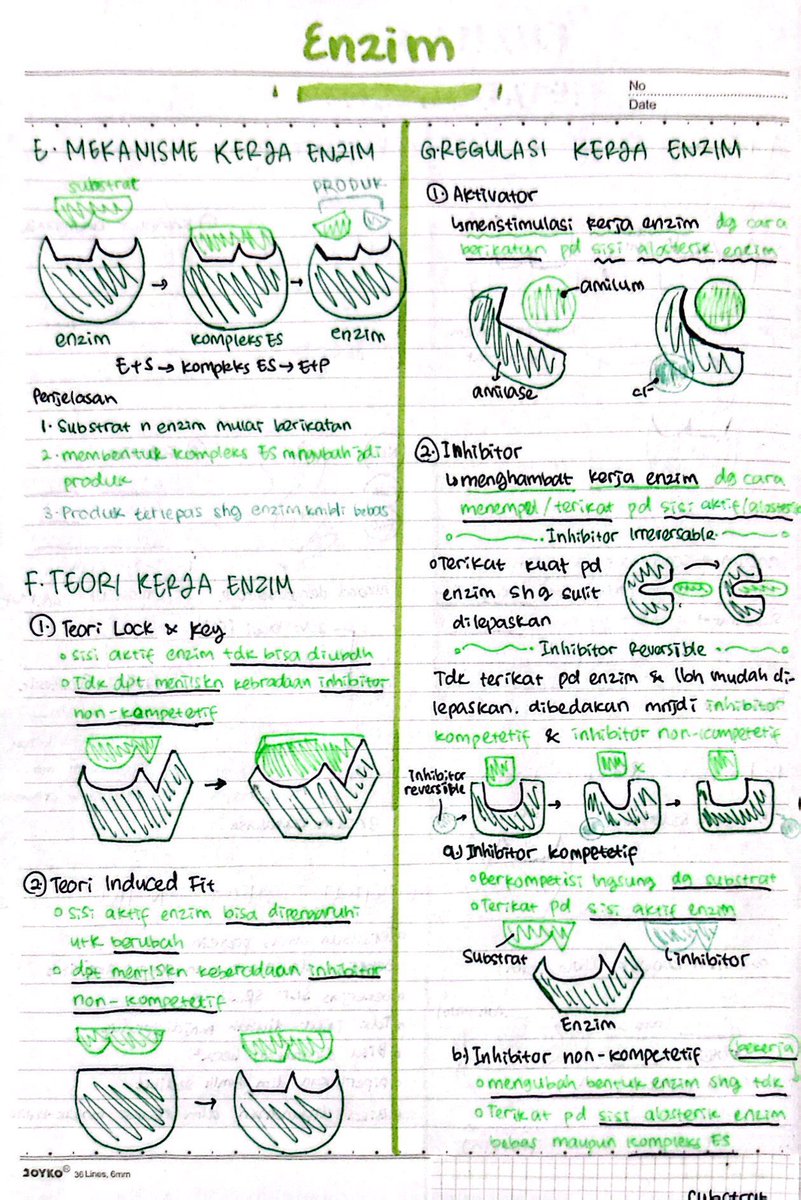 snowlovesmoon's tweet photo. Materi Biologi SMA Kelas 12 Semester 1 🪴🌿🍃

— a thread by zah 🪡
(warning, g lengkap!) https://t.co/lSh0IIRJZB
