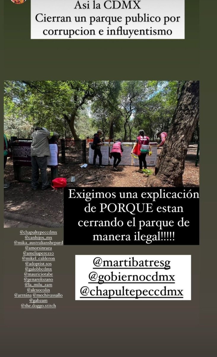 aaj_91's tweet photo. @LaMetaMH1 @AlcaldiaMHmx @ProsocCDMX @HASF_AnaSDiaz @AmorSinRaza @FundacionToby https://t.co/bu8glCKUfG