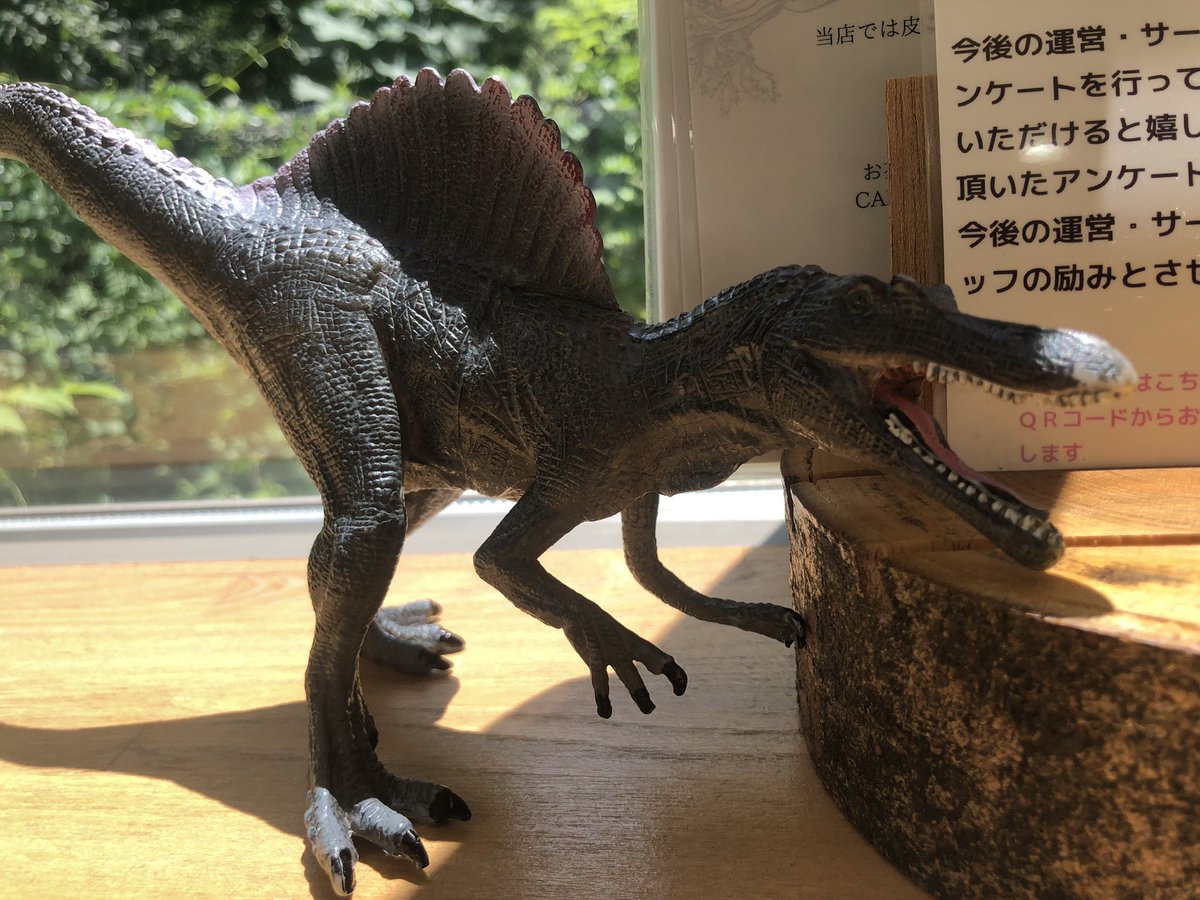_kaseki_love's tweet photo. とりあえずお昼をいただきます。
オーガニックにこだわった食材でどのメニューも美味しいんですよね、ここ😋
内装もテンション上がる✨
#神流町恐竜センター
#REXCAFE https://t.co/367DydYlIo