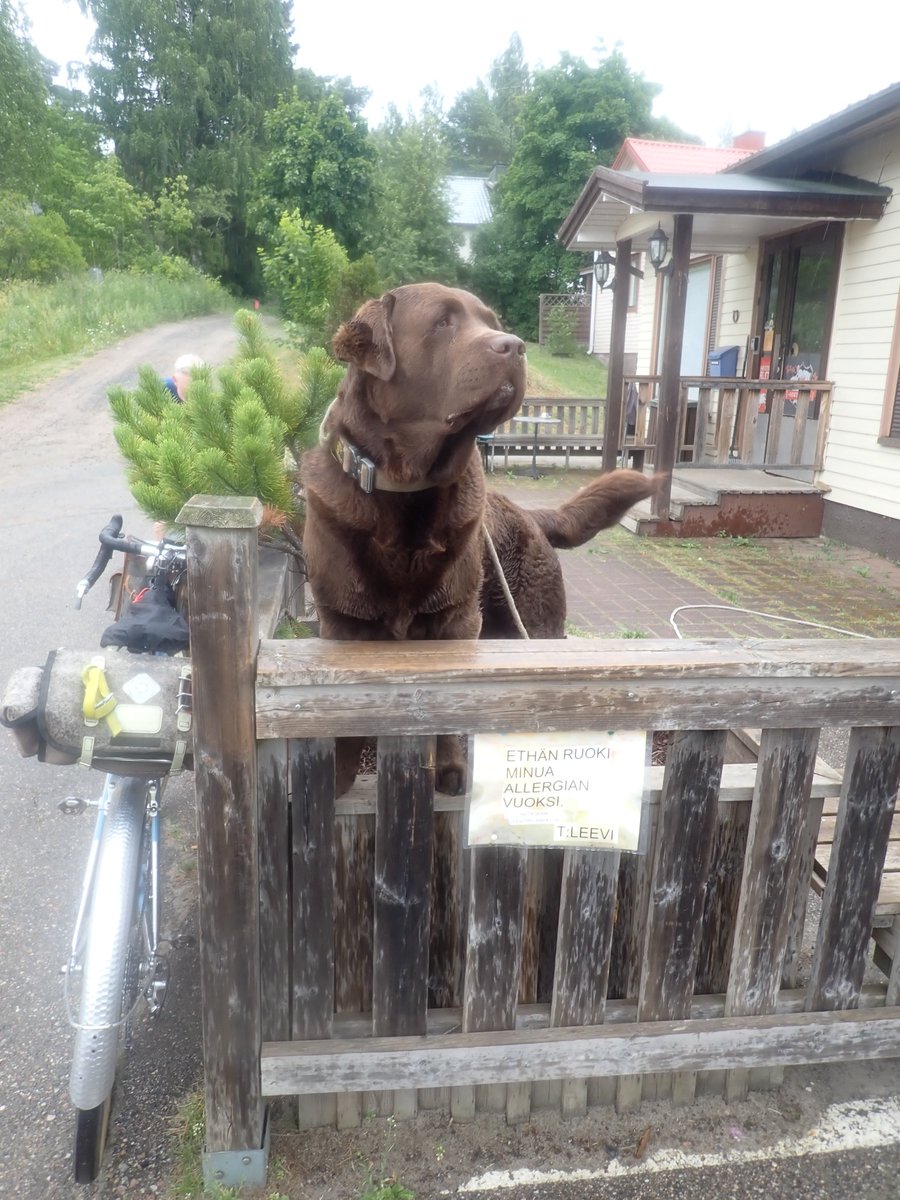 Lucky 4 1200km ajettu. 84h45min kiitos Antti Pietilä. Hienolla rutiininomaisella ajolla läpi meni.