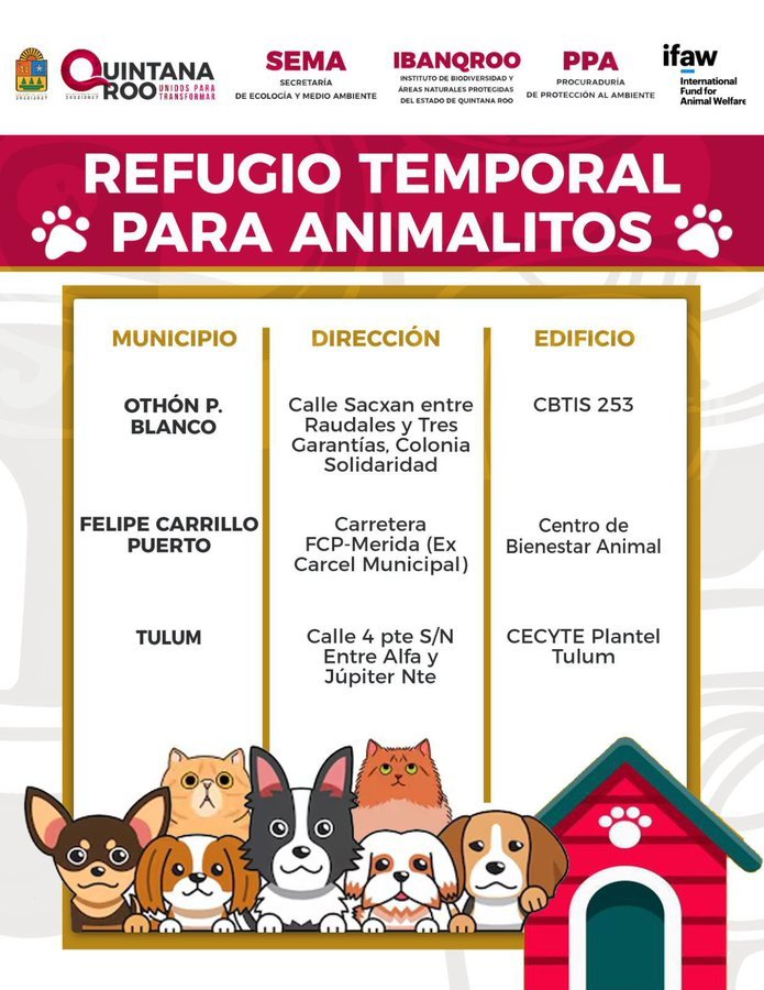 Gente por la Defensa Animal (GEPDA) tweet media