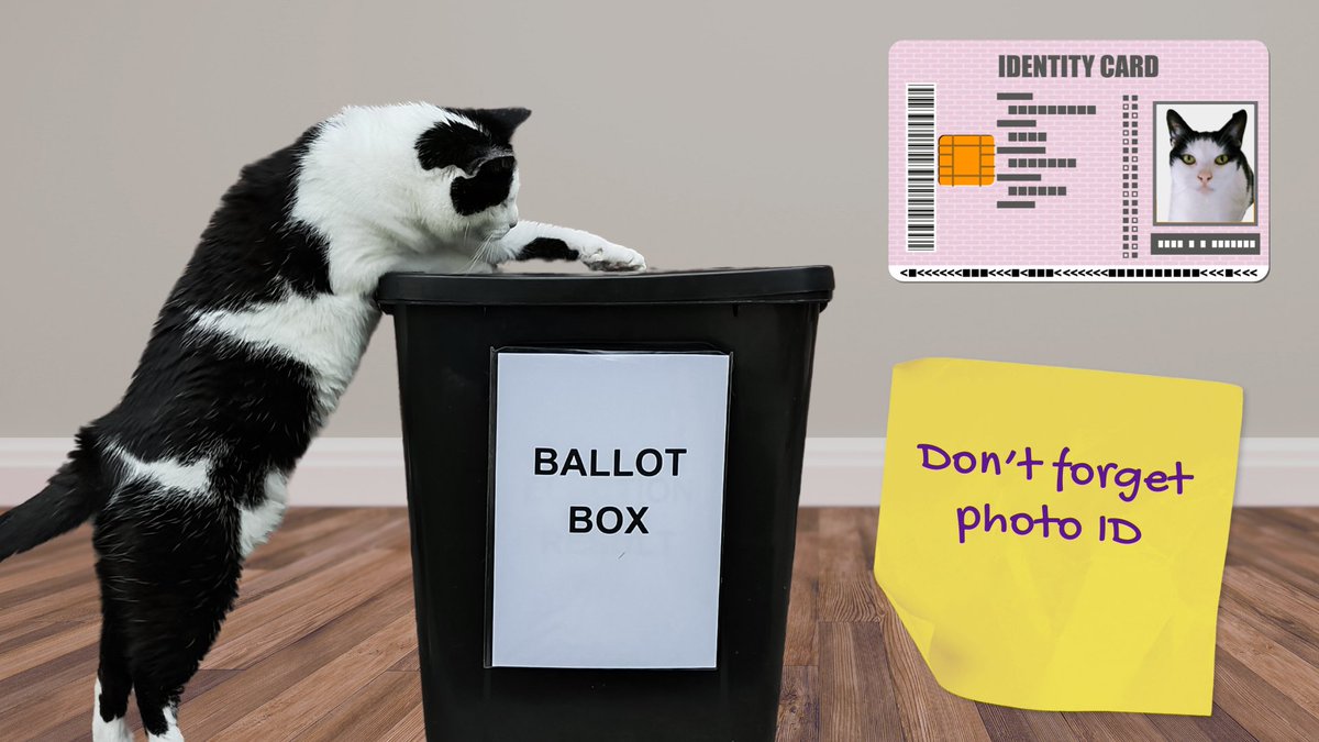 Today's the day to cast your vote. Don't forget to bring your photo ID to the polling station 😀

General Election 2024: blaby.gov.uk/election 
Voter ID requirements: blaby.gov.uk/voter-id 

#cats #election #election2024 #pollingday #vote2024