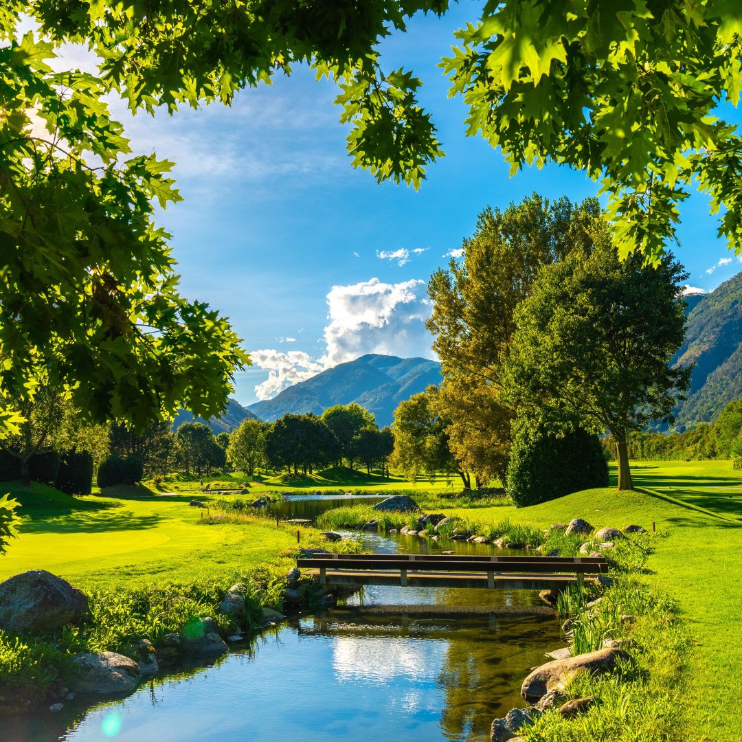 Immagina di trascorrere la tua giornata immerso nel verde, dove l'unico suono è il sussurro del vento tra gli alberi. Qui al Golf Gerre Losone, offriamo un'esperienza che va oltre il gioco: è un vero e proprio rifugio per riconnettersi con se stessi e con l'ambiente circostante.