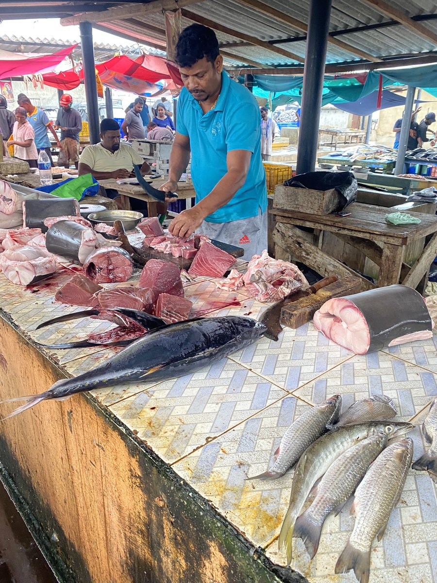 Lindsey Eisenstein tweet media