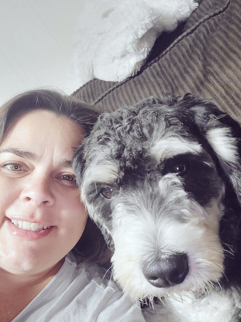 I can get use to this foster gig. Truly love seeing these pups enjoy being in a home ❤️🐾❤️