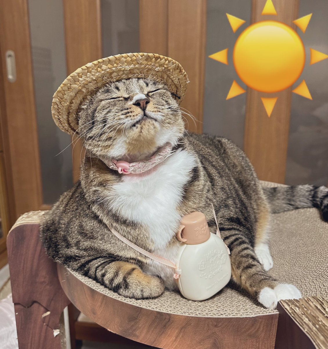 kokonananya's tweet photo. 今日は特別に暑いですね〜☀️アイスコーヒーは水分に入りませんよ〜お水やポカリを飲みましょう〜帽子もかぶってね〜🌸 https://t.co/DzdGUGJAfV