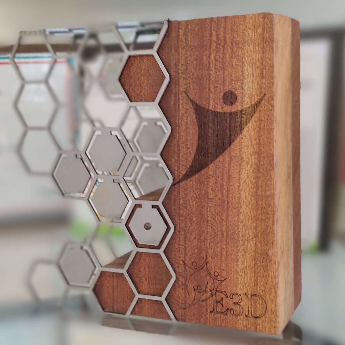 Les éco-delegués ont officiellement reçu hier, au rectorat, le label E3D niveau 3 qui officialise l'engagement des élèves et de tous les personnels du lycée Diderot dans le développement durable. Des actions quotidiennes et pérennes dans les 17 objectifs adoptés par <a href="/ONU_fr/">Nations Unies (ONU)</a>