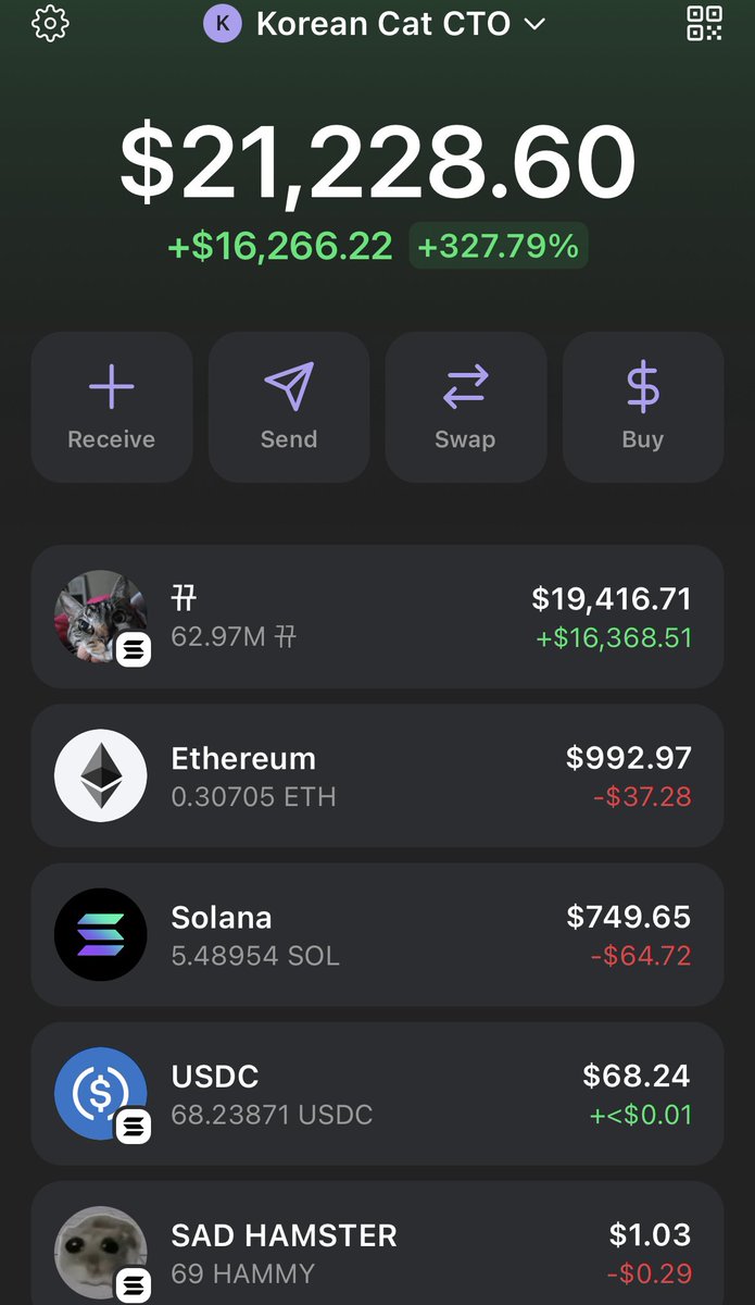 Korean Cat tweet media