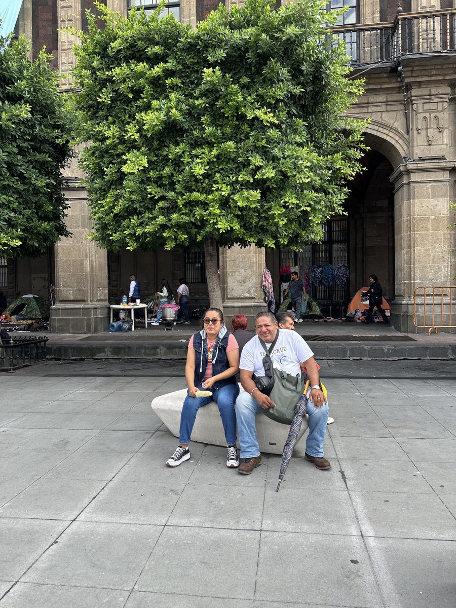 Extasis bench in the heart of CdMx, qué alegría! #landscape #capital #urbanfurniture