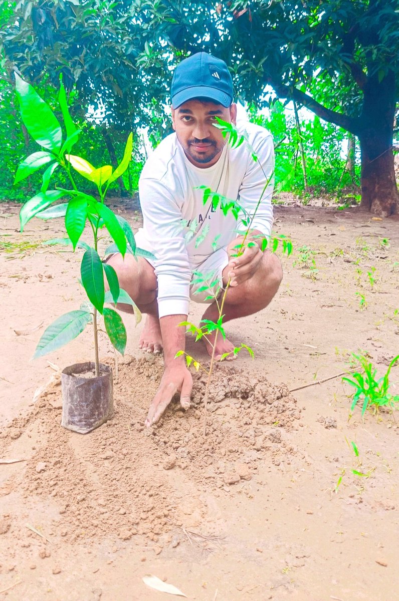 Cgmaurya9911's tweet image. सुबह की शुरुआत पेड़ लगाने से 🌳
#savetreesavelife